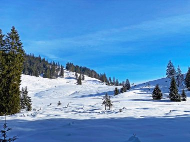 Obertoggenburg bölgesi, Unterwasser - İsviçre 'nin St. Gallen Kantonu (Schweiz)