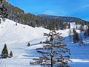 Obertoggenburg bölgesi, Unterwasser - İsviçre 'nin St. Gallen Kantonu (Schweiz)