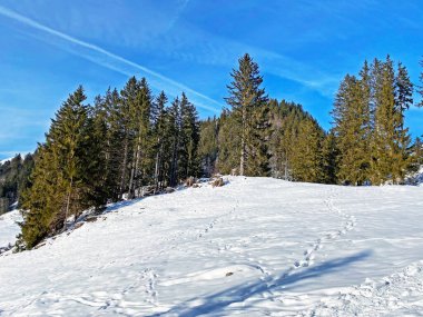 Obertoggenburg bölgesi, Unterwasser - İsviçre 'nin St. Gallen Kantonu (Schweiz)