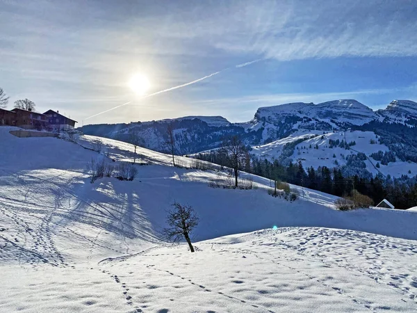 Increíblemente Hermosa Atmósfera Invernal Los Pastos Colinas Los Alpes Suizos —  Fotos de Stock