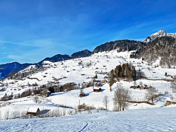 Incrivelmente Bela Atmosfera Inverno Nas Pastagens Colinas Dos Alpes Suíços — Fotografia de Stock