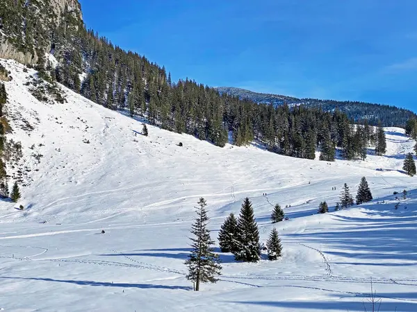 Atmosphère Hivernale Incroyablement Belle Sur Les Pâturages Les Collines Des — Photo