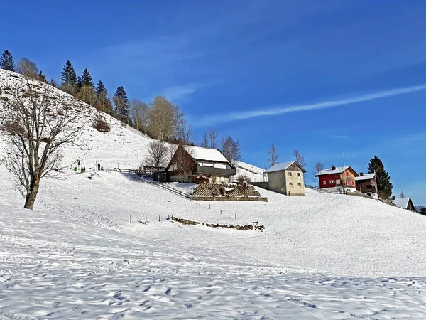 Niewiarygodnie Piękna Zimowa Atmosfera Pastwiskach Wzgórzach Alp Szwajcarskich Regionie Obertoggenburg — Zdjęcie stockowe