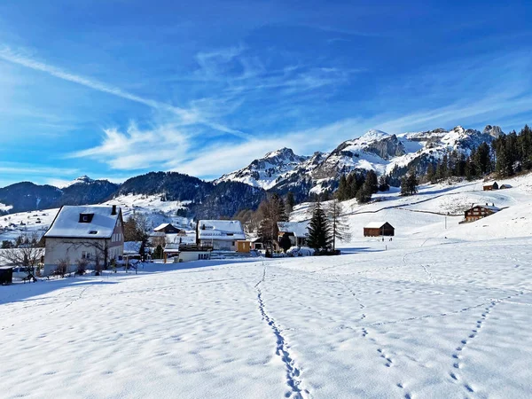 オーバートッゲンブルク地方のスイスアルプスの牧草地や丘の上に信じられないほど美しい冬の雰囲気 Unterwasser カントン セント ガレン スイス スイス — ストック写真