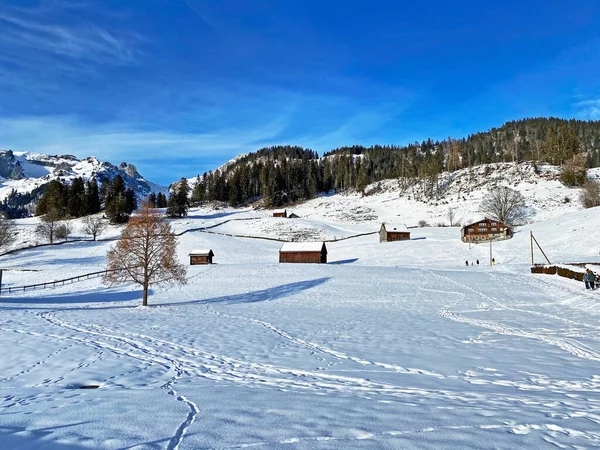 Incrivelmente Bela Atmosfera Inverno Nas Pastagens Colinas Dos Alpes Suíços — Fotografia de Stock