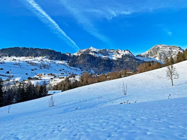 Incrivelmente Bela Atmosfera Inverno Nas Pastagens Colinas Dos Alpes Suíços — Fotografia de Stock