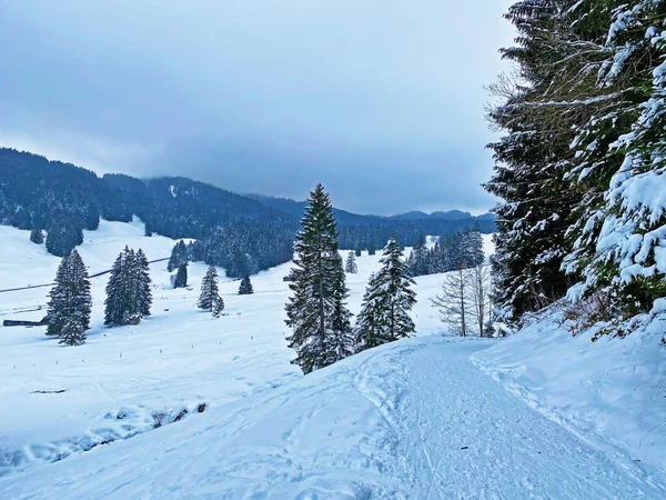 Maravillosas Rutas Senderismo Invierno Rastros Cubierta Nieve Alpina Fresca Los —  Fotos de Stock