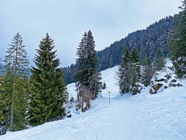 Maravillosas Rutas Senderismo Invierno Rastros Cubierta Nieve Alpina Fresca Los — Foto de Stock