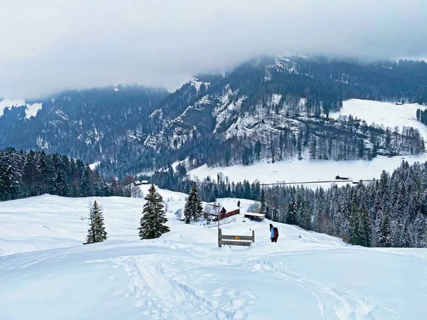 Maravillosas Rutas Senderismo Invierno Rastros Cubierta Nieve Alpina Fresca Los — Foto de Stock