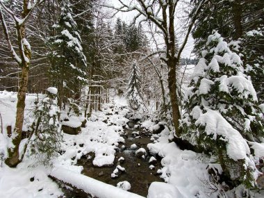 Alp nehrinde kış atmosferi Lutheren dağı eteklerinde Alpstein Dağı, Ennetbuhl veya Ennetbuehl - İsviçre 'nin St. Gallen Kantonu (Schweiz)