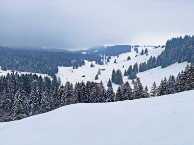 Luteren deresi vadisine taze kar yağdı ve Alpstein kalabalığı, Ennetbuhl veya Ennetbuehl - İsviçre 'nin St. Gallen Kantonu (Schweiz)