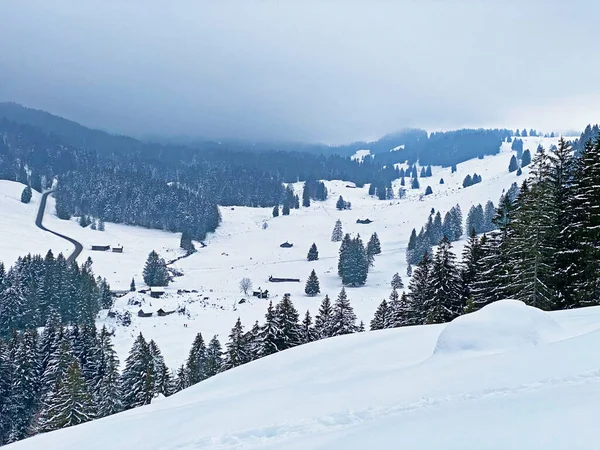 Nieve Fresca Valle Del Arroyo Lutheren Invierno Pastos Alpinos Pie — Foto de Stock