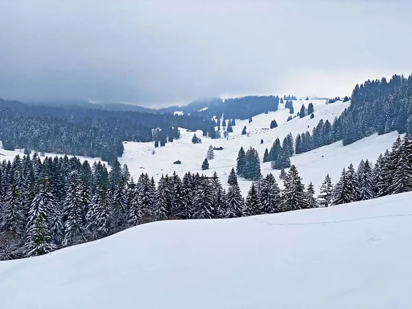 Verse Sneeuw Het Dal Van Lutheren Winter Almweiden Aan Voet — Stockfoto