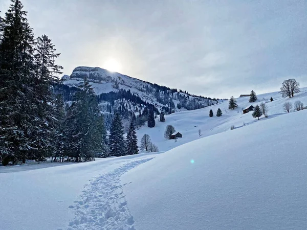 Wonderful Winter Hiking Trails Traces Fresh Alpine Snow Cover Churfirsten —  Fotos de Stock