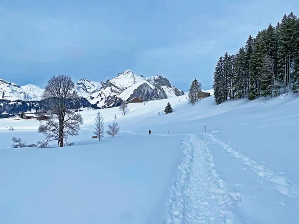 Wonderful Winter Hiking Trails Traces Fresh Alpine Snow Cover Churfirsten — ストック写真