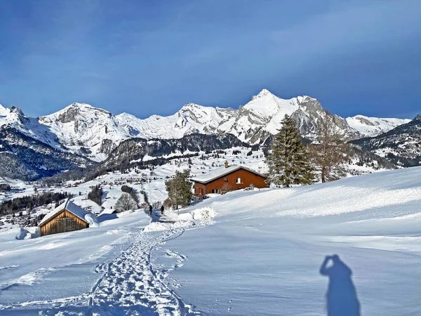 Wonderful Winter Hiking Trails Traces Fresh Alpine Snow Cover Churfirsten — ストック写真