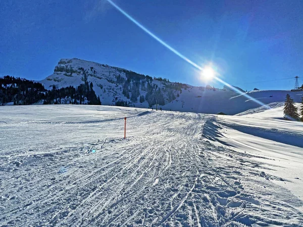 Recreational Sports Ski Slopes Churfirsten Mountain Range Obertoggenburg Region Wildhaus — 图库照片