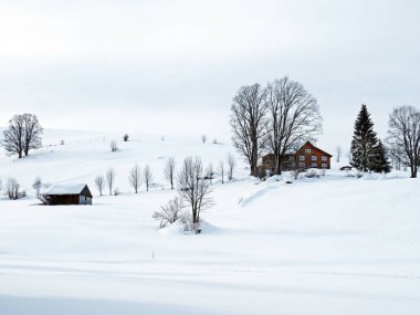 Idyllic Swiss alpine mountain huts and traditional Swiss rural architecture dressed in winter clothes and in a fresh snow cover in the Obertoggenburg region, Wildhaus - Canton of St. Gallen, Switzerland (Schweiz)