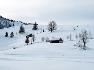 Idyllic Swiss alpine mountain huts and traditional Swiss rural architecture dressed in winter clothes and in a fresh snow cover in the Obertoggenburg region, Wildhaus - Canton of St. Gallen, Switzerland (Schweiz)