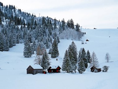 Idyllic Swiss alpine mountain huts and traditional Swiss rural architecture dressed in winter clothes and in a fresh snow cover in the Obertoggenburg region, Wildhaus - Canton of St. Gallen, Switzerland (Schweiz)