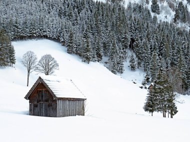 Idyllic Swiss alpine mountain huts and traditional Swiss rural architecture dressed in winter clothes and in a fresh snow cover in the Obertoggenburg region, Wildhaus - Canton of St. Gallen, Switzerland (Schweiz)