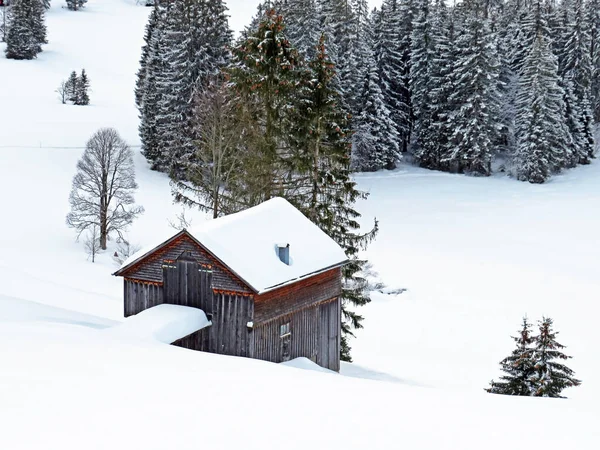Idyllic Swiss Alpine Mountain Huts Traditional Swiss Rural Architecture Dressed — Stockfoto