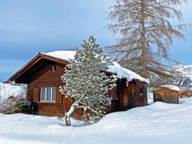 Idyllic Swiss alpine mountain huts and traditional Swiss rural architecture dressed in winter clothes and in a fresh snow cover in the Obertoggenburg region, Wildhaus - Canton of St. Gallen, Switzerland (Schweiz)