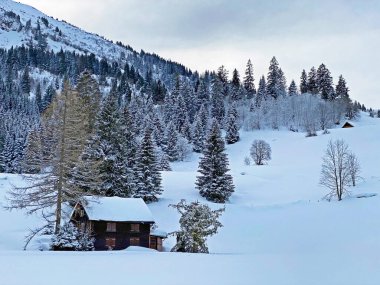 Idyllic Swiss alpine mountain huts and traditional Swiss rural architecture dressed in winter clothes and in a fresh snow cover in the Obertoggenburg region, Wildhaus - Canton of St. Gallen, Switzerland (Schweiz)