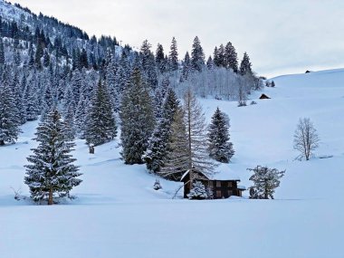 Idyllic Swiss alpine mountain huts and traditional Swiss rural architecture dressed in winter clothes and in a fresh snow cover in the Obertoggenburg region, Wildhaus - Canton of St. Gallen, Switzerland (Schweiz)