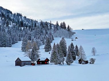 Idyllic Swiss alpine mountain huts and traditional Swiss rural architecture dressed in winter clothes and in a fresh snow cover in the Obertoggenburg region, Wildhaus - Canton of St. Gallen, Switzerland (Schweiz)