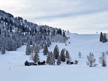 Idyllic Swiss alpine mountain huts and traditional Swiss rural architecture dressed in winter clothes and in a fresh snow cover in the Obertoggenburg region, Wildhaus - Canton of St. Gallen, Switzerland (Schweiz)
