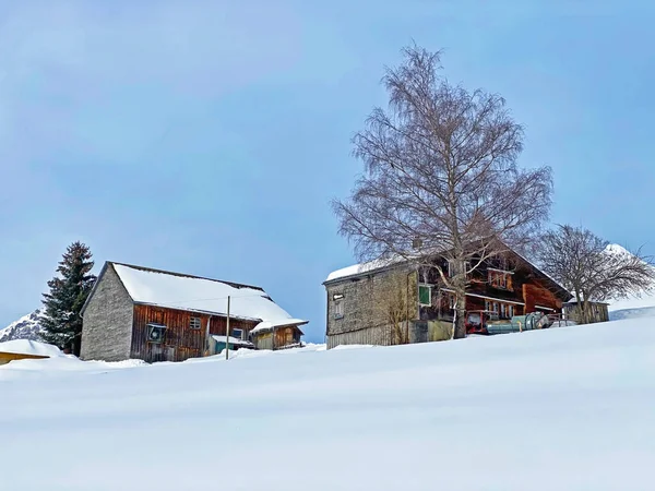 Cabanes Alpines Suisses Idylliques Architecture Rurale Suisse Traditionnelle Vêtue Vêtements — Photo