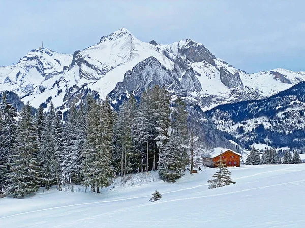 White snow caps on the alpine peaks Santis or Saentis, Wildhuser Schofberg and Moor in Alpstein mountain range and in Appenzell Alps massif, Wildhaus - Canton of St. Gallen, Switzerland (Schweiz)