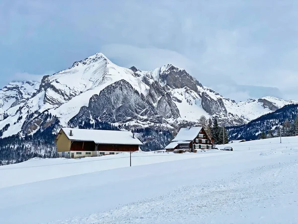 Abrazo Invierno Nieve Los Picos Alpinos Wildhuser Schofberg Moro Cordillera — Foto de Stock