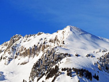 Alp tepelerindeki bembeyaz kar, Alpstein sıradağlarındaki Stoellen veya Stollen ve Schofwisspitz ve Appenzell Alpleri kitlesi - İsviçre 'deki St. Gallen Kantonu (Schweiz)
