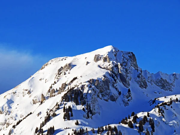 Paisagem Perfeita Inverno Pico Alpino Nevado Luetispitz Lutispitz Cordilheira Alpstein — Fotografia de Stock