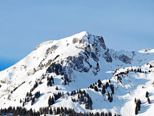 Det Perfekta Vinterlandskapet Snöig Alpin Topp Luetispitz Eller Lutispitz Alpstein — Stockfoto