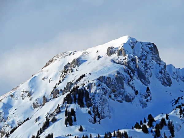 Det Perfekta Vinterlandskapet Snöig Alpin Topp Luetispitz Eller Lutispitz Alpstein Royaltyfria Stockfoton