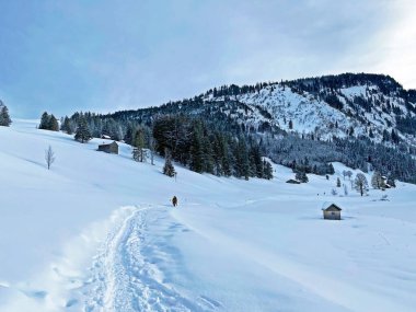 Churfirsten Dağları 'nın ve Obertoggenburg Bölgesi, Wildhaus - İsviçre' nin St. Gallen Kantonu 'nun güzel, taptaze karları üzerinde yürüyüşçüler ve yürüyüşçüler.)