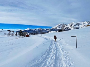 Churfirsten Dağları 'nın ve Obertoggenburg Bölgesi, Wildhaus - İsviçre' nin St. Gallen Kantonu 'nun güzel, taptaze karları üzerinde yürüyüşçüler ve yürüyüşçüler.)