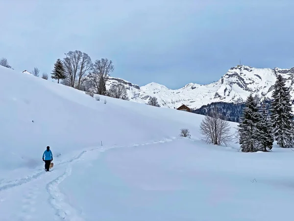 Senderistas Caminantes Hermosa Nieve Idílica Fresca Cordillera Churfirsten Región Obertoggenburg — Foto de Stock