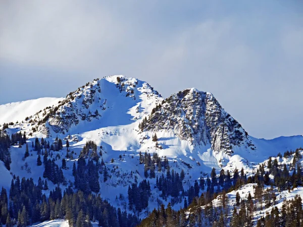 Ren Vit Snö Och Alpin Vinteridyll Topparna Schweiziska Alperna Wildhaus Royaltyfria Stockbilder