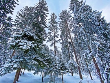 Obertoggenburg bölgesi, Unterwasser - İsviçre 'nin St. Gallen Kantonu (Schweiz)
