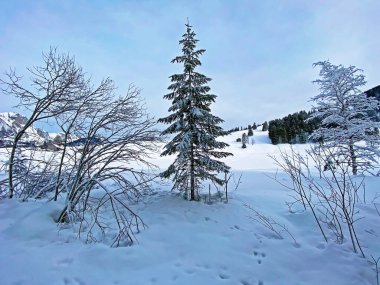 Obertoggenburg bölgesi, Unterwasser - İsviçre 'nin St. Gallen Kantonu (Schweiz)