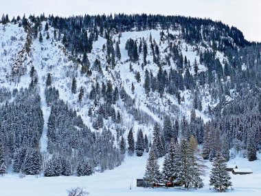 Obertoggenburg bölgesi, Unterwasser - İsviçre 'nin St. Gallen Kantonu (Schweiz)