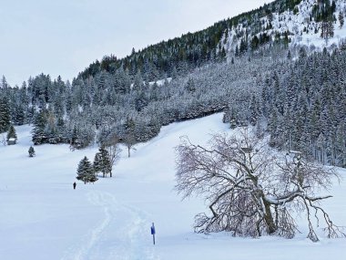 Obertoggenburg bölgesi, Unterwasser - İsviçre 'nin St. Gallen Kantonu (Schweiz)