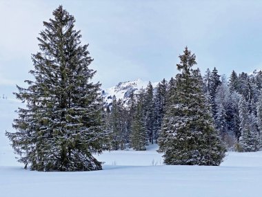 Obertoggenburg bölgesi, Unterwasser - İsviçre 'nin St. Gallen Kantonu (Schweiz)