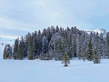 Obertoggenburg bölgesi, Unterwasser - İsviçre 'nin St. Gallen Kantonu (Schweiz)