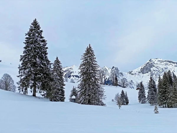 Obertoggenburg bölgesi, Unterwasser - İsviçre 'nin St. Gallen Kantonu (Schweiz)