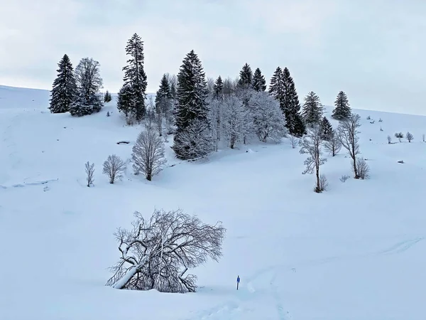 Obertoggenburg bölgesi, Unterwasser - İsviçre 'nin St. Gallen Kantonu (Schweiz)